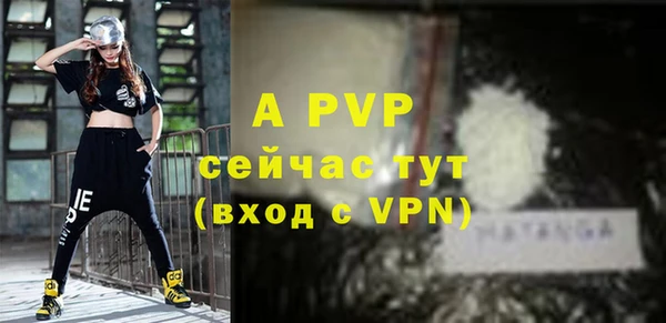 стаф Новодвинск