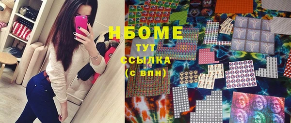 стаф Новодвинск