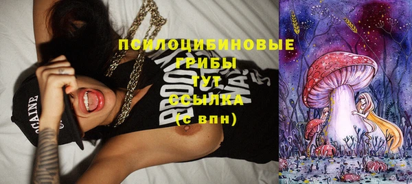прущая мука Новозыбков