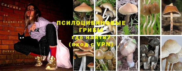 альфа пвп Новокубанск