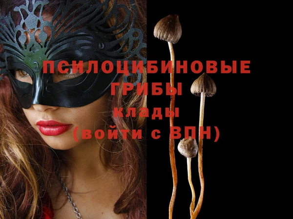 альфа пвп Новокубанск