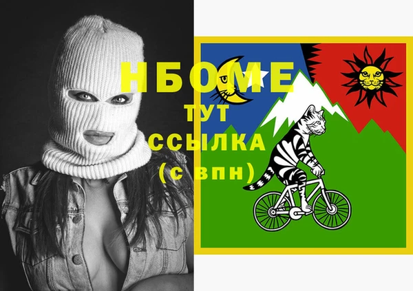 стаф Новодвинск