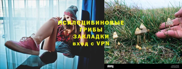 альфа пвп Новокубанск