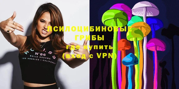 стаф Новодвинск