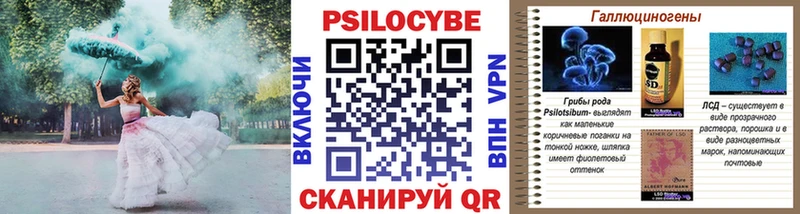 Псилоцибиновые грибы MAGIC MUSHROOMS Струнино